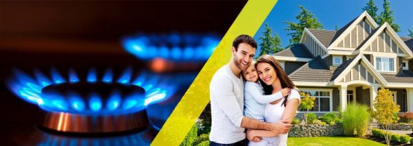 Что такое догазификация? Что такое догазификация?.